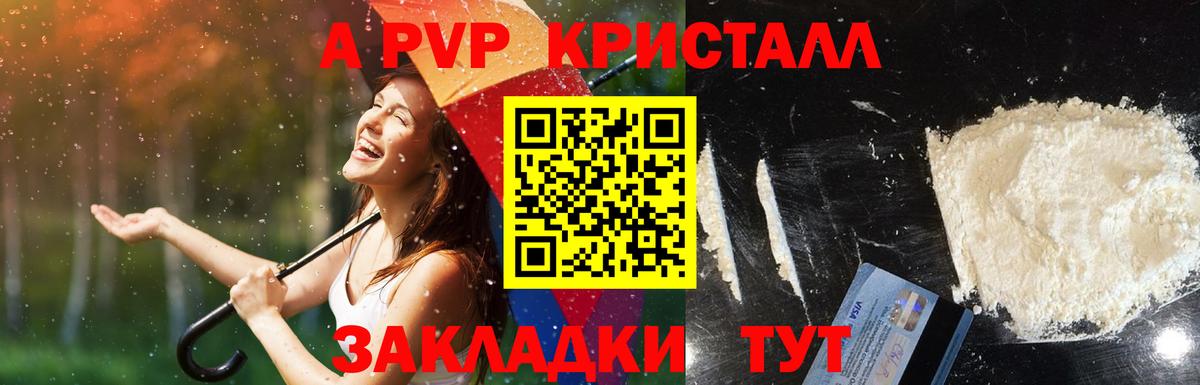 Alpha-PVP  Alpha PVP СК КРИС  Вход с VPN  Alpha PVP крисы CK  Нальчик 