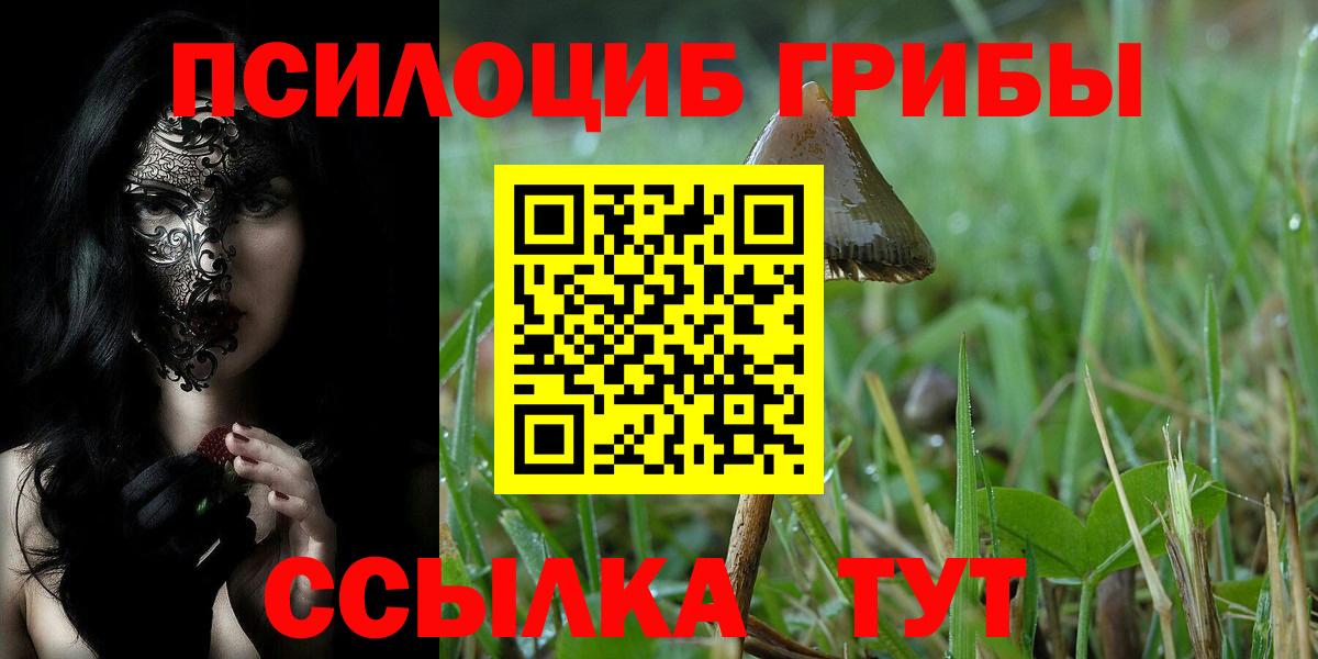 Нальчик  Галлюциногенные грибы Psilocybe  Вход с VPN 