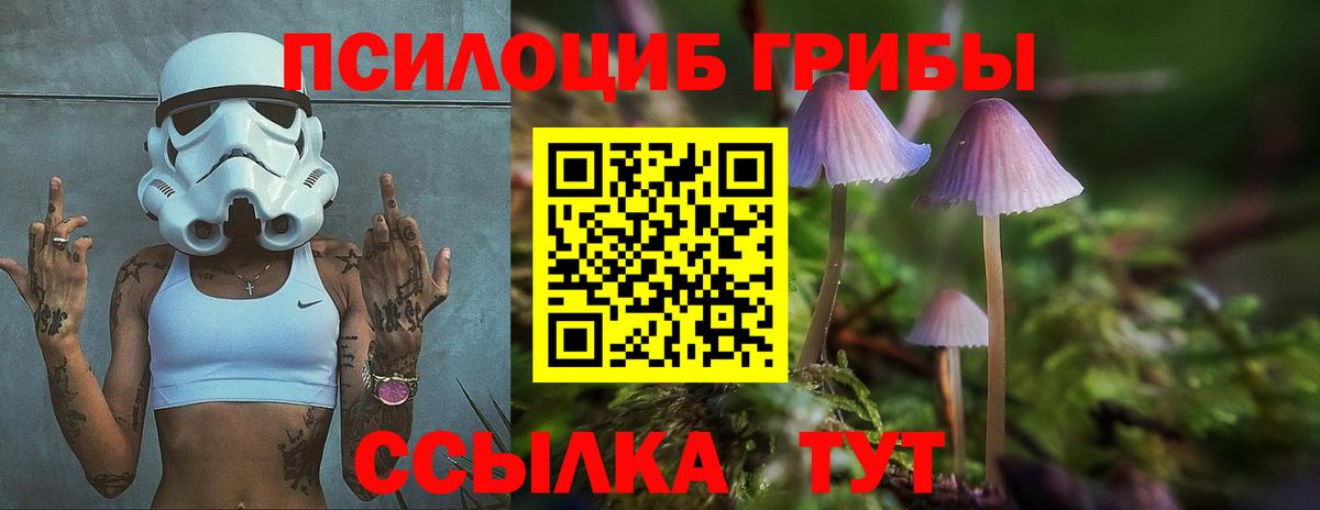 Галлюциногенные грибы MAGIC MUSHROOMS Нальчик